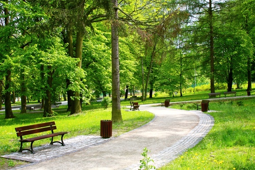 Blog Image